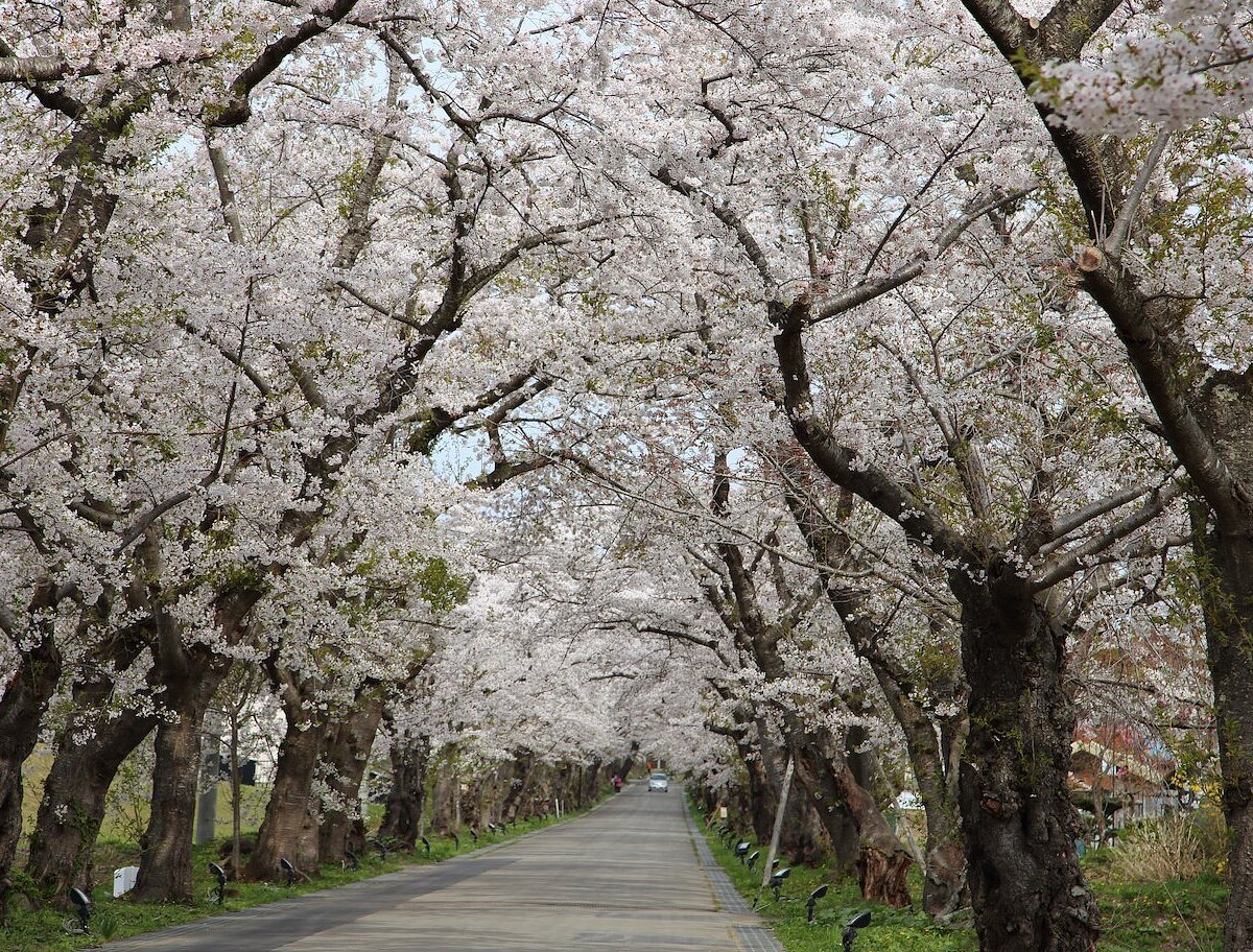 🏯 마쓰마에 번 헤키리치 진야 터 (마쓰마에한 헤키리치 진야아토) 이미지 6